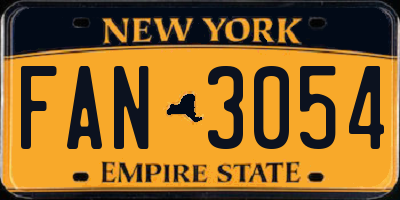 NY license plate FAN3054