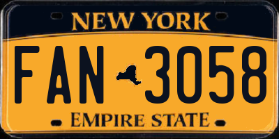 NY license plate FAN3058