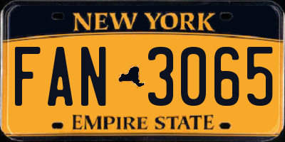 NY license plate FAN3065