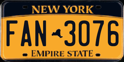NY license plate FAN3076