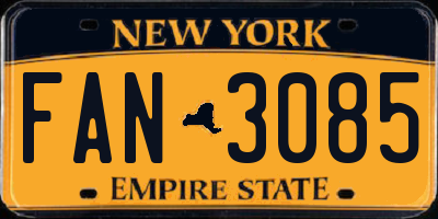 NY license plate FAN3085