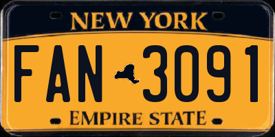 NY license plate FAN3091
