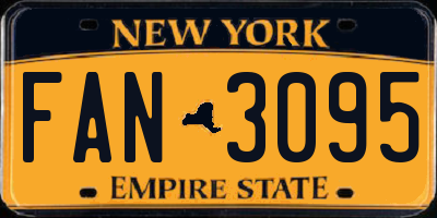 NY license plate FAN3095