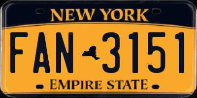 NY license plate FAN3151