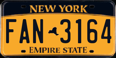 NY license plate FAN3164