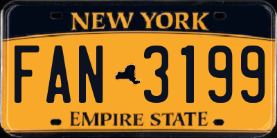 NY license plate FAN3199
