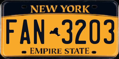 NY license plate FAN3203
