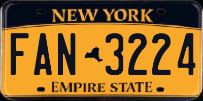 NY license plate FAN3224