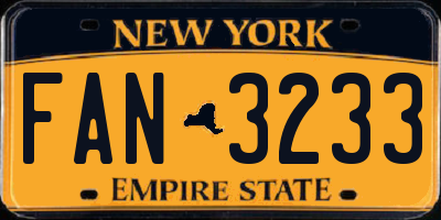 NY license plate FAN3233
