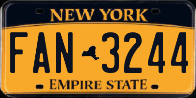 NY license plate FAN3244