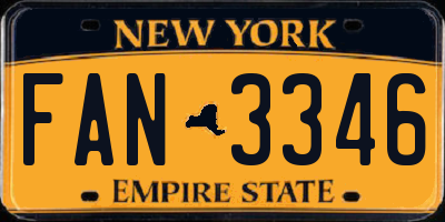 NY license plate FAN3346