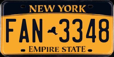 NY license plate FAN3348