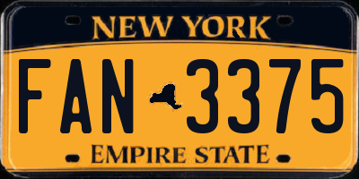 NY license plate FAN3375