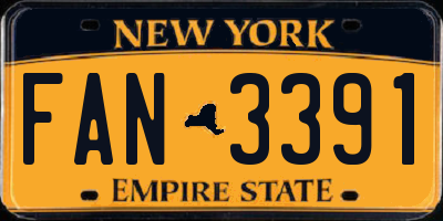 NY license plate FAN3391