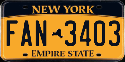 NY license plate FAN3403
