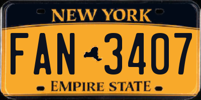NY license plate FAN3407