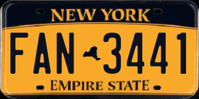 NY license plate FAN3441