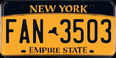 NY license plate FAN3503