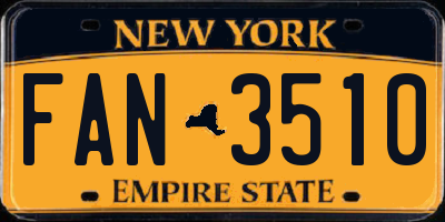 NY license plate FAN3510