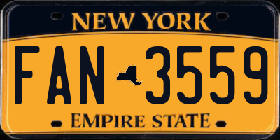 NY license plate FAN3559