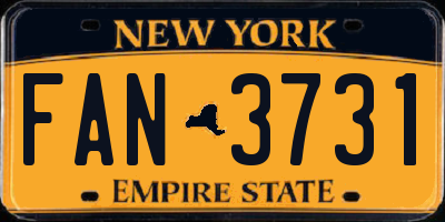 NY license plate FAN3731