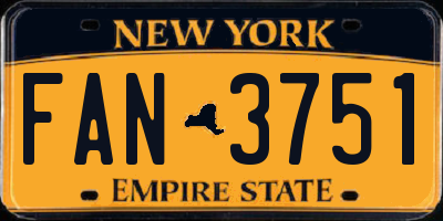 NY license plate FAN3751