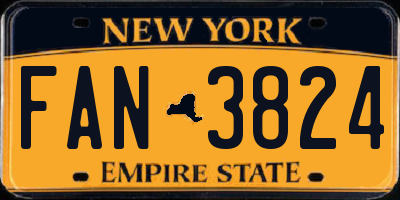 NY license plate FAN3824