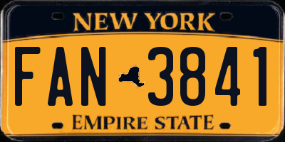 NY license plate FAN3841