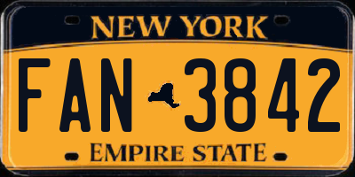 NY license plate FAN3842