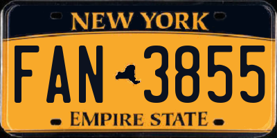 NY license plate FAN3855