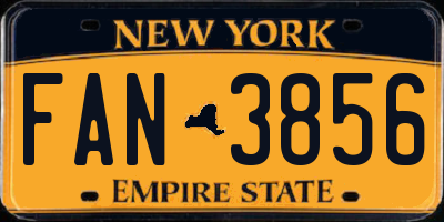 NY license plate FAN3856