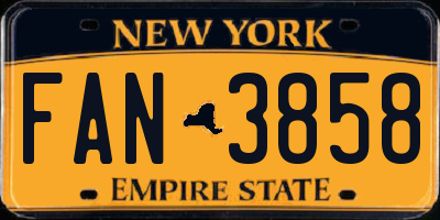 NY license plate FAN3858