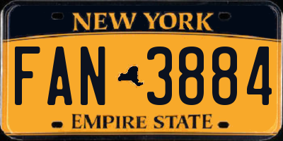 NY license plate FAN3884
