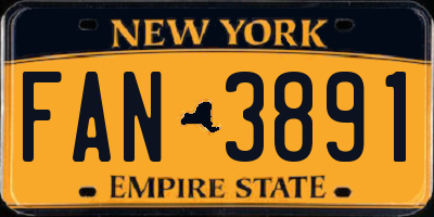 NY license plate FAN3891
