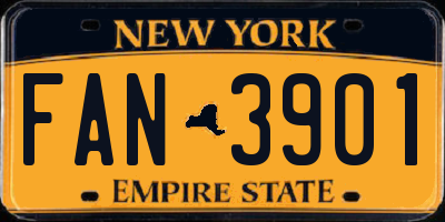 NY license plate FAN3901