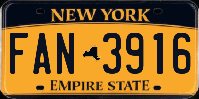 NY license plate FAN3916