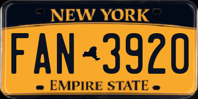 NY license plate FAN3920