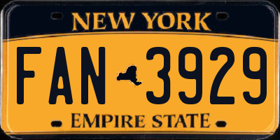 NY license plate FAN3929