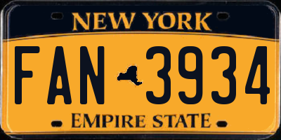 NY license plate FAN3934