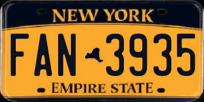 NY license plate FAN3935