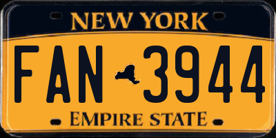 NY license plate FAN3944