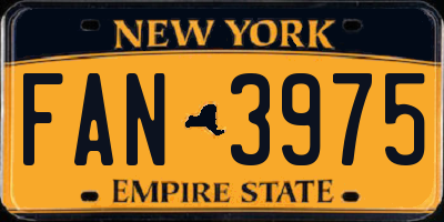 NY license plate FAN3975