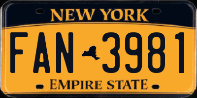NY license plate FAN3981