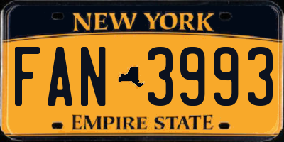 NY license plate FAN3993