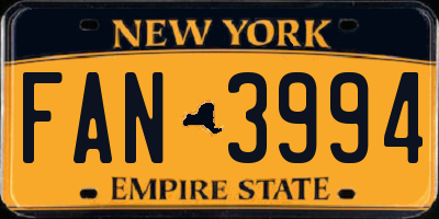NY license plate FAN3994