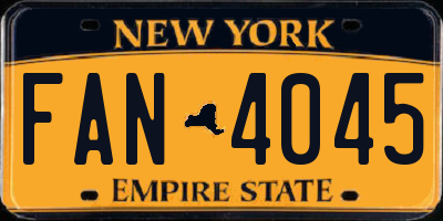 NY license plate FAN4045