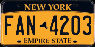 NY license plate FAN4203