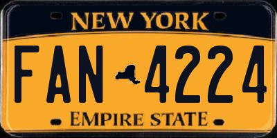 NY license plate FAN4224