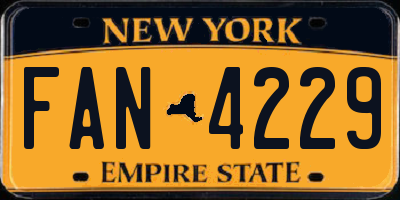 NY license plate FAN4229