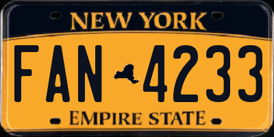 NY license plate FAN4233